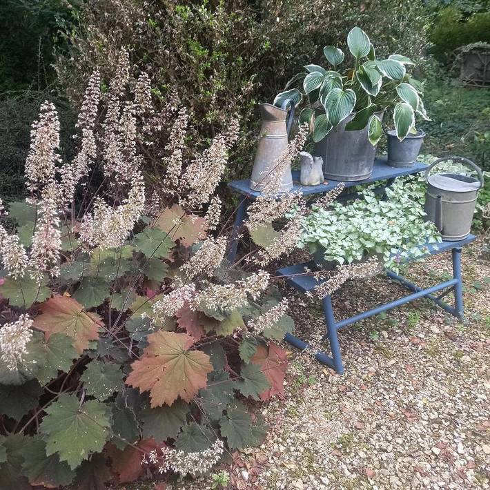 Maison d’hôte pour 2 personnes, avec Terrasse et Jardin