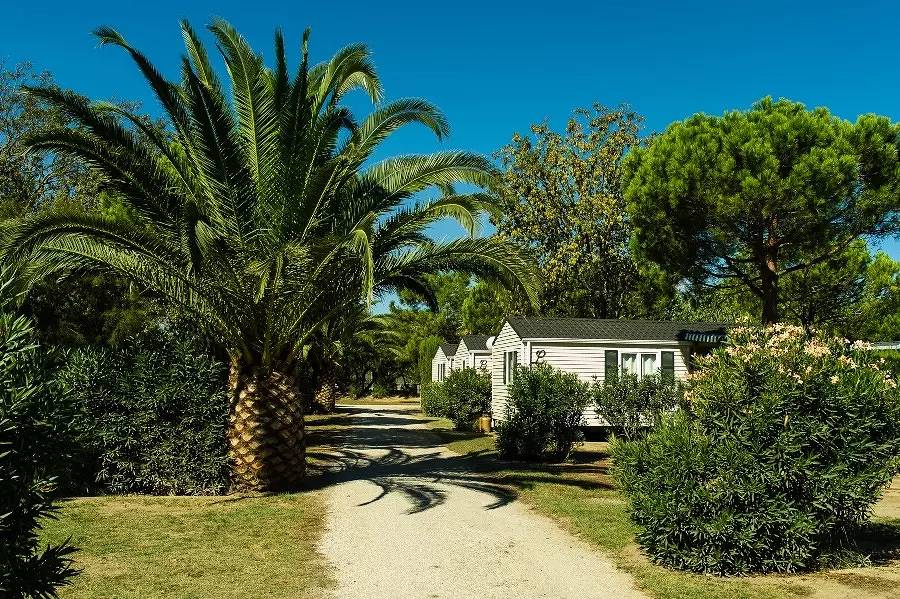Cottage Guava 3 Zimmer 4/6 Personen *** in Torreilles, Côte d'Améthyste
