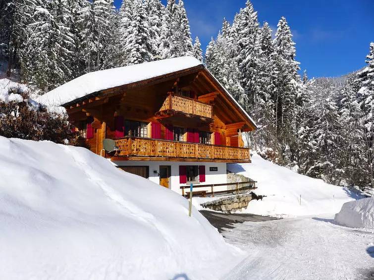 Chalet 10 Personnes in Villars-sur-Ollon, Ollon (Villars-sur-Ollon)
