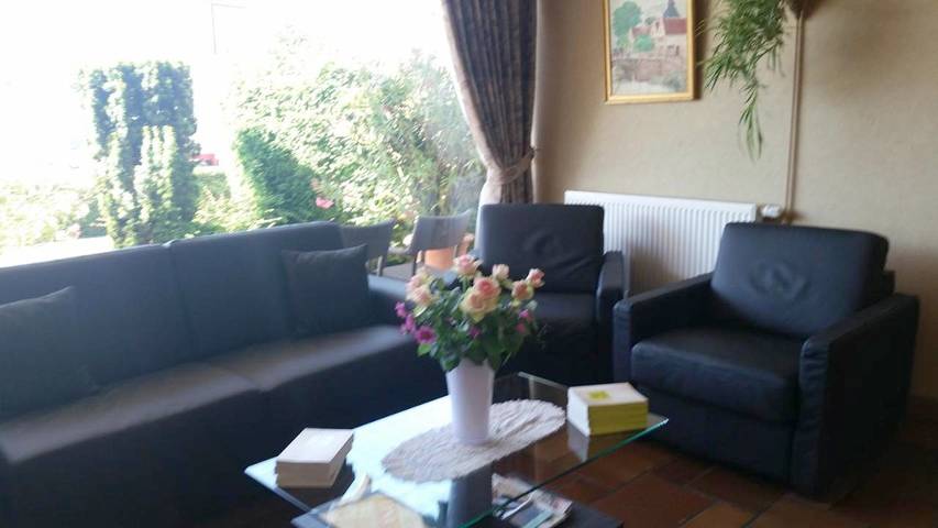 Hôtel pour 3 personnes, avec jardin et terrasse, animaux acceptés à Marlenheim - 4