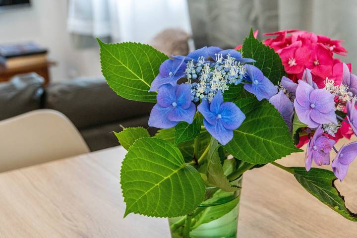 Entire apartment, Apartment 'Haus Seeluft - W1' with Shared Terrace and Wi-Fi in Stollhamm, Butjadingen