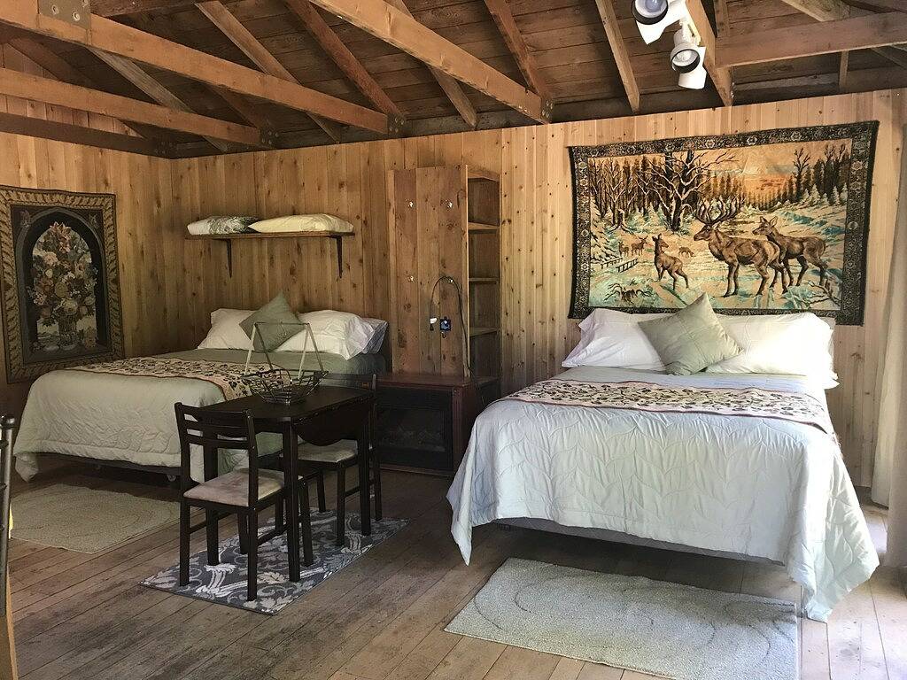 Ganze Wohnung, Rustikale Indian Valley Studio Kabine in Clallam County