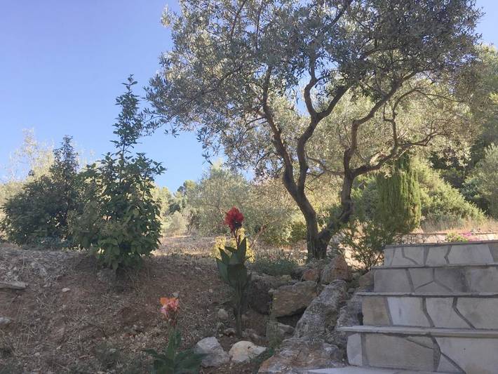 Chambre d’hôte pour 2 personnes, avec vue ainsi que jardin et piscine à Flayosc - 4
