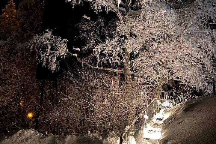 Ferienhaus für 4 Personen, mit Garten in Sulzberg (Österreich) - 4