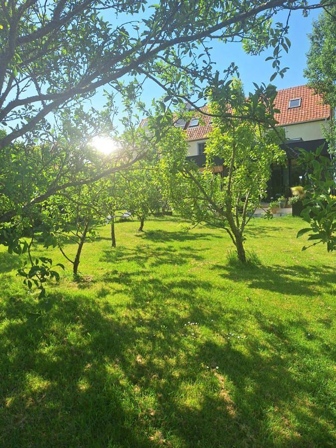 Location de vacances pour 3 personnes, avec Terrasse et Jacuzzi ainsi que Jardin et Vue à Echinghen