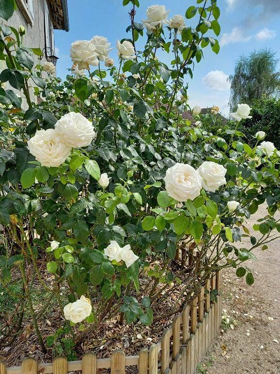 Le Domaine du Chaffard - Chambre Hog Island in Les Avenières, Région de La Tour-du-Pin
