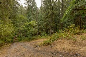 Log Cabin for 6 Guests in Glacier, North Cascades National Park, Picture 2