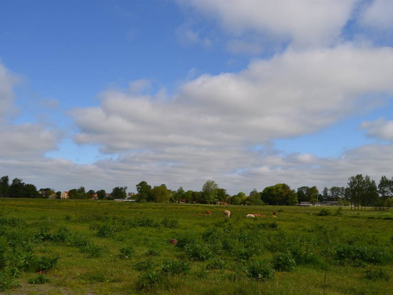 "Josina" - 32km from the sea in Gredstedbro, Wadden Sea National Park