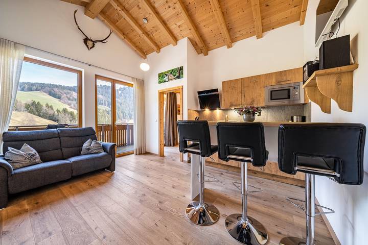 Holiday apartment for 3 people, with sauna and balcony as well as hot tub, with pets - 1