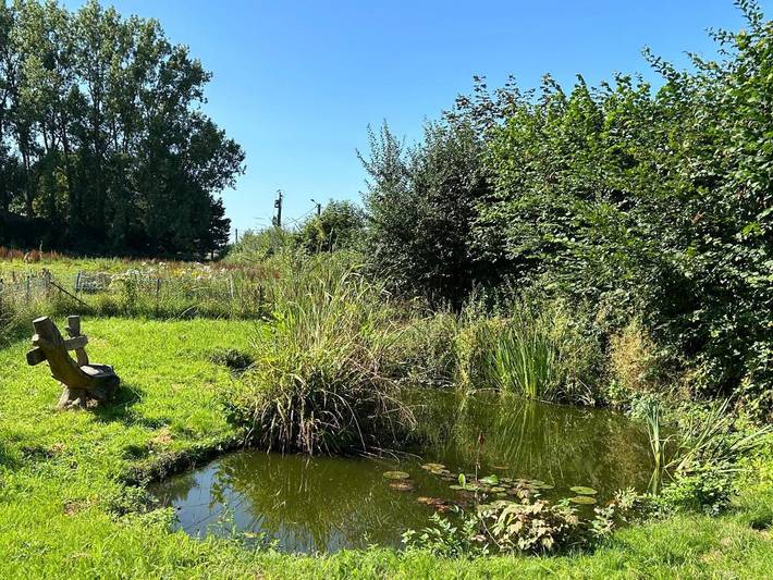 Location de vacances pour 7 personnes, avec jardin et jacuzzi dans Feluy - 3