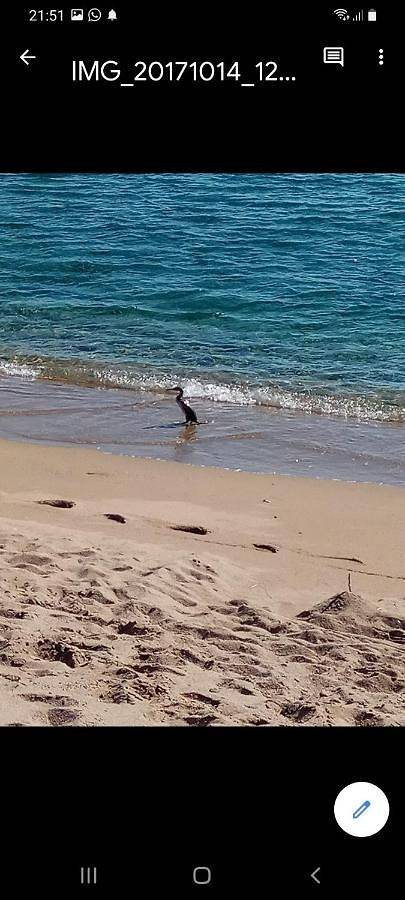 Maison d’hôte pour 2 personnes, avec terrasse et vue dans Orosei - 3