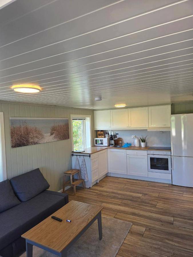 Ferienhaus für 4 Personen, mit Terrasse und Garten sowie Ausblick in Grimstad - 3