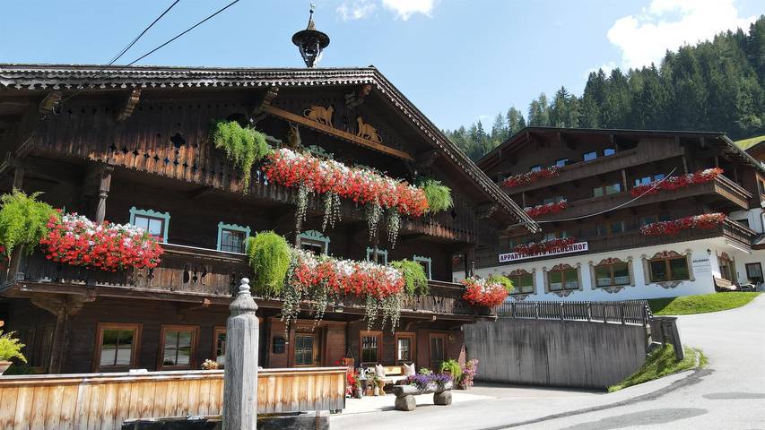 Ferienwohnung für 2 Personen, mit Balkon und Terrasse sowie Garten und Sauna in Alpbach - 3