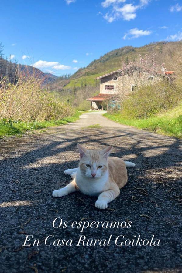 Maison de campagne pour 4 personnes, avec vue ainsi que terrasse et jardin à Deba - 2