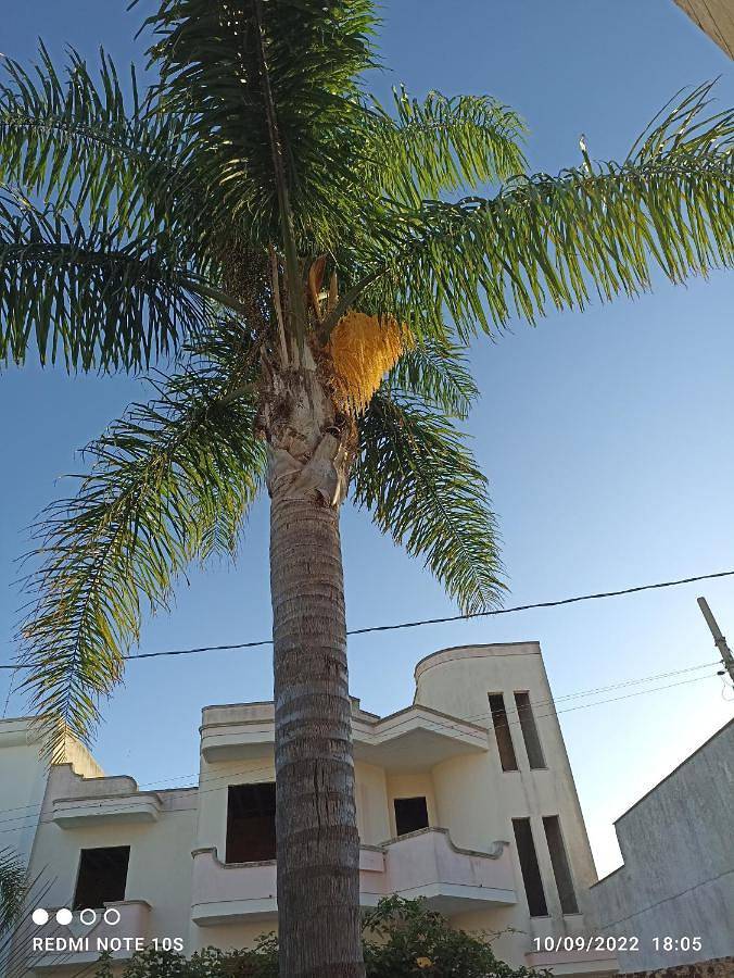 Location de vacances pour 3 personnes, avec vue et jardin, adapté aux familles à Tricase - 3