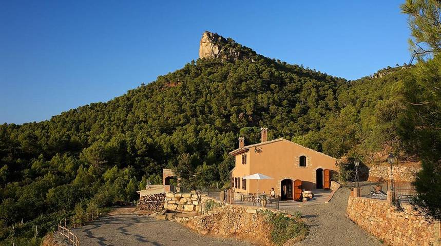 Casa rural para 8 personas, con jardín y piscina, Se admiten mascotas en Priorat - 4