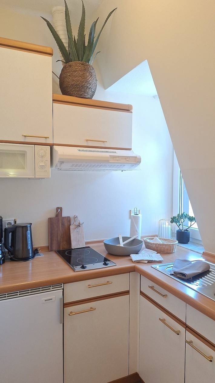 Ganze Ferienwohnung, 1 Raum Apartment großer Balkon in Bad Kissingen, Rhön-Bayern