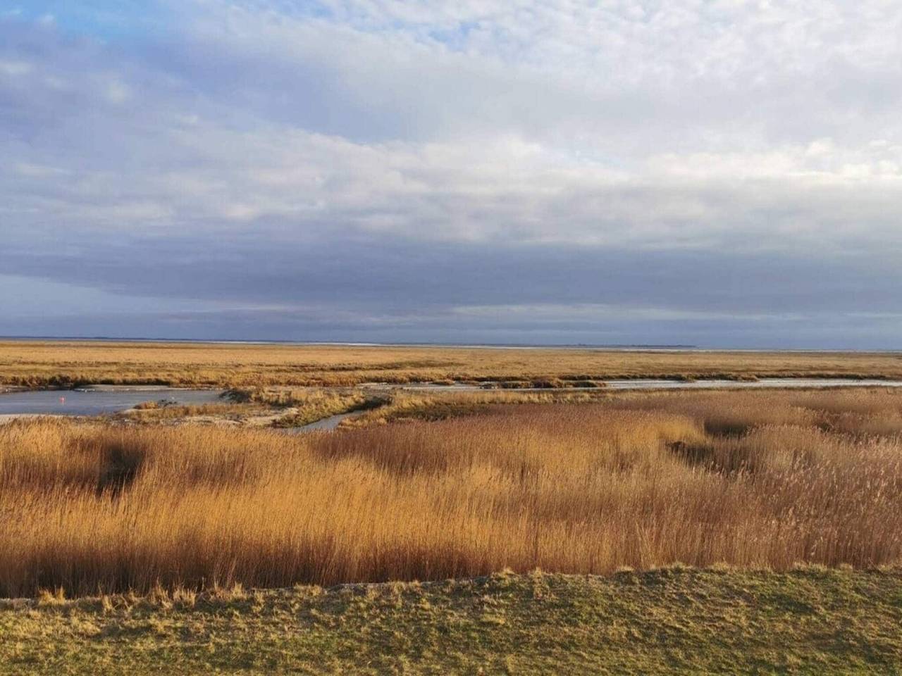4 Personen Ferienhaus in Fanø in Sønderho, Fanø