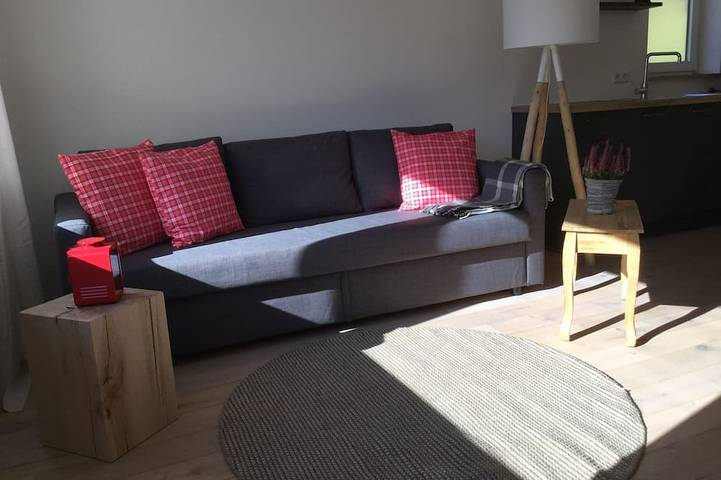 Ganze Wohnung, Ferienwohnung Laitschenbach, 55qm, 1 Schlafraum, Balkon, max. 4 Personen, 1.Og in Obermünstertal, Münstertal