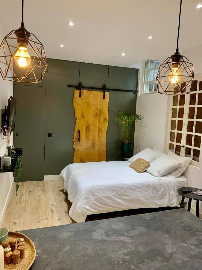 Appartement entier, One-Bedroom Apartment in Troyes, Aube