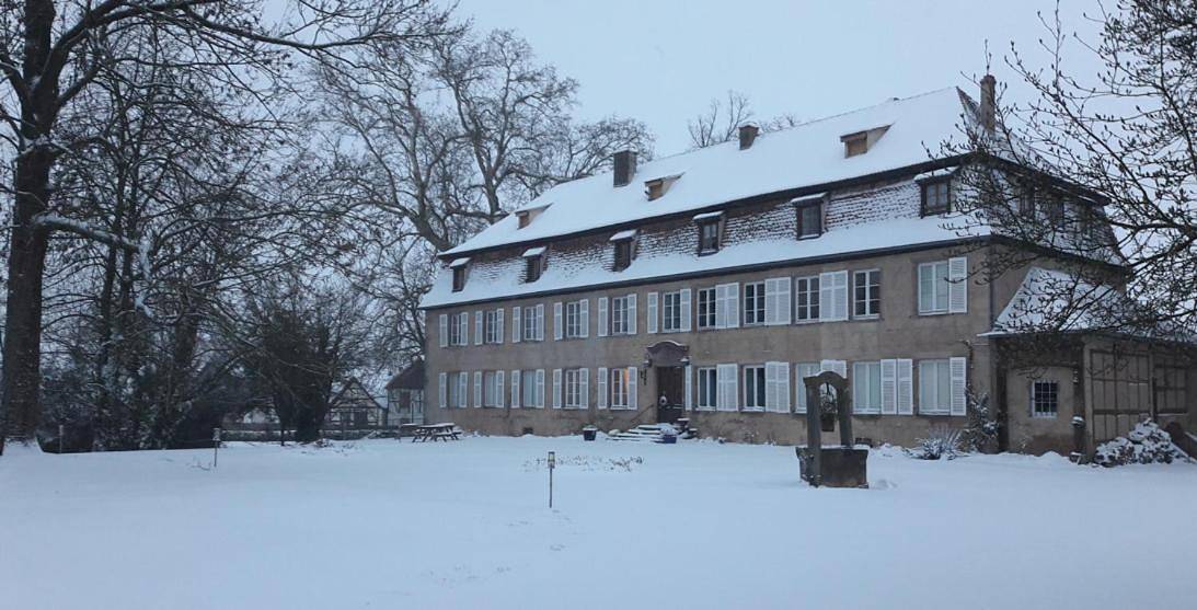 Chambres d'hôtes Château De Grunstein in Stotzheim, Région de Sélestat-Erstein