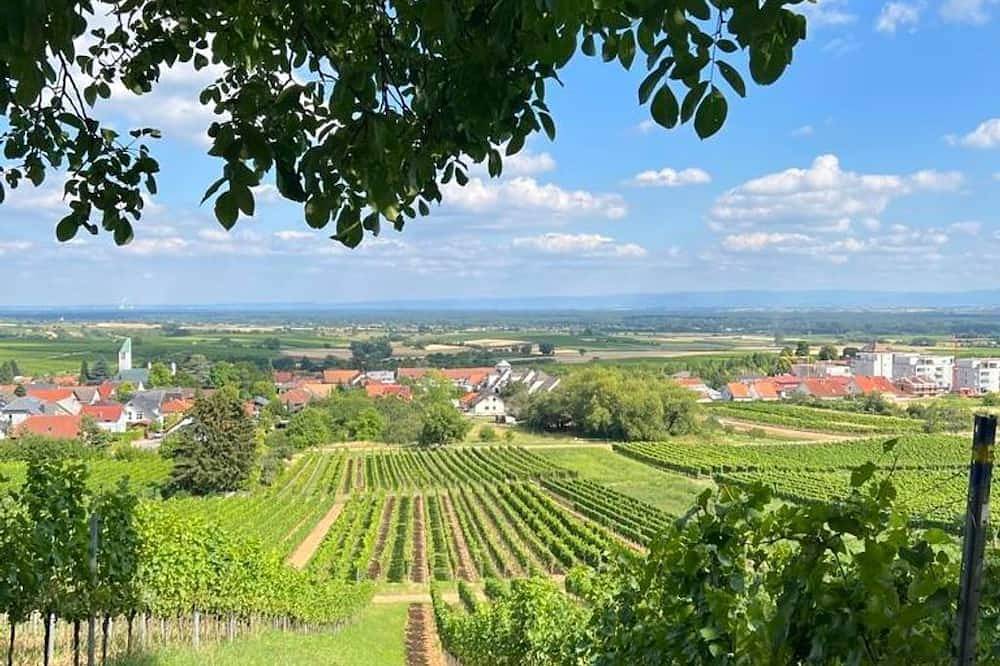 Entire apartment, Ferienwohnung Kerst, Deutschland in Schweigen-Rechtenbach, Südliche Weinstraße