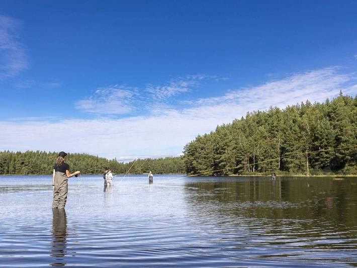 Mysig stuga vid sjön Gardsjon Lidsjöberg in Strömsund, Jämtland