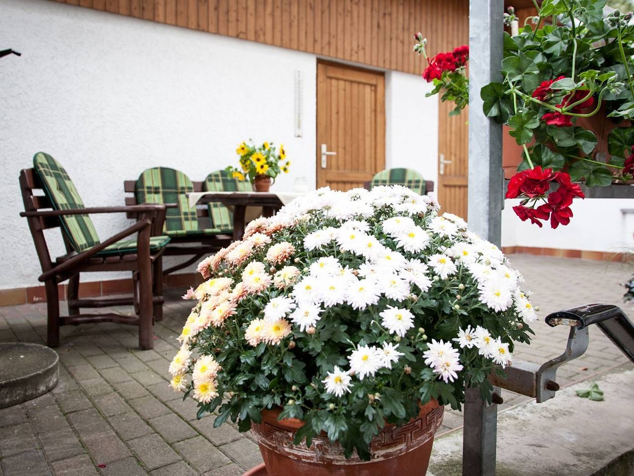 Ganze Ferienwohnung, Ferienwohnung "Helianthus" - Fw mit 1 Wohnr., 1 Schlafr., Küche, Bad m. Du, Eg, 1-3 P., 55 m² in Arnstadt, Thüringer Kernland