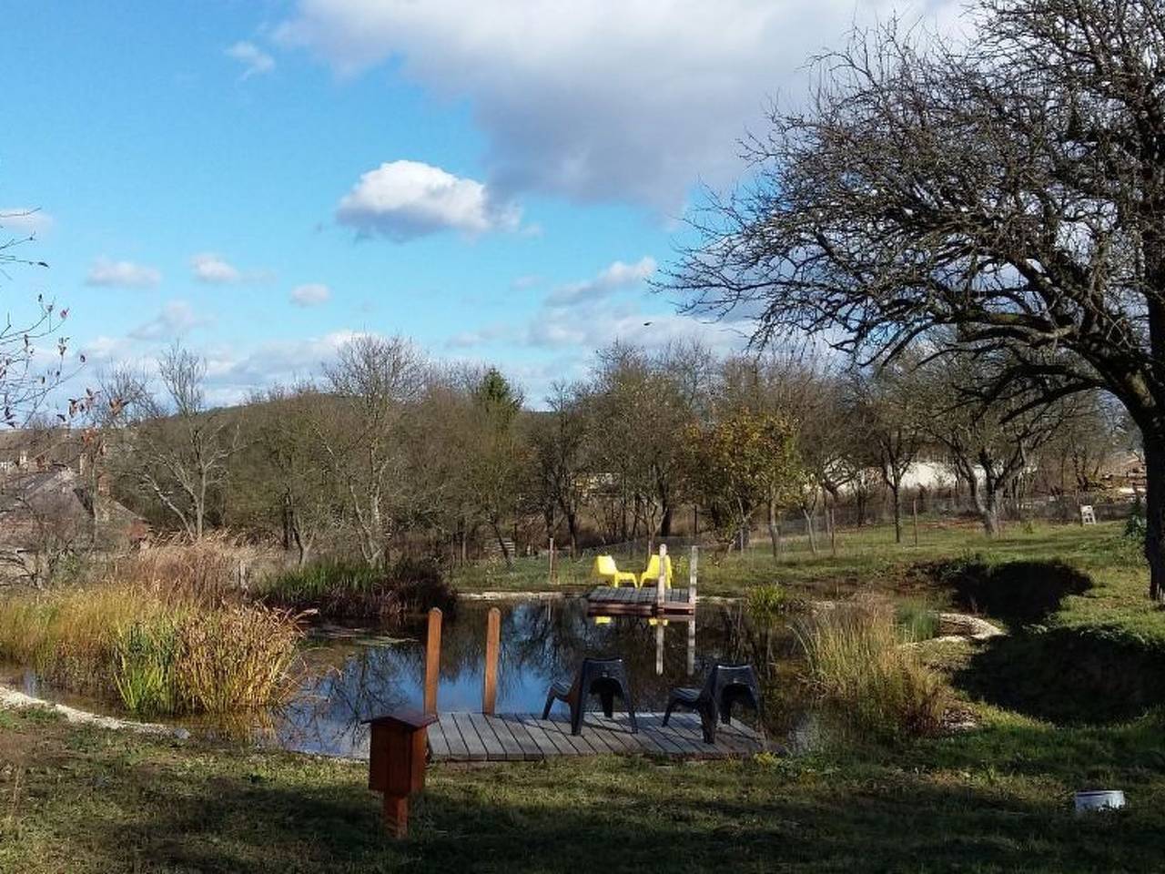 Mit biologischem Schwimmteich in Csernely, Borsod-Abaúj-Zemplén megye