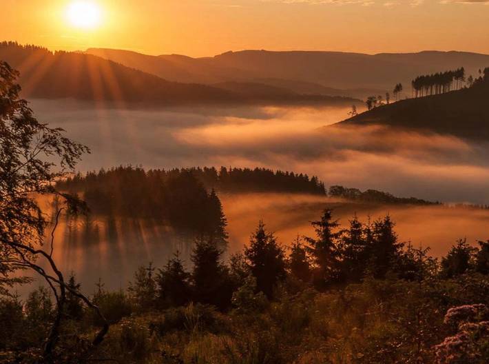 Hotel für 2 Personen, mit Garten und Terrasse sowie Sauna und Pool, mit Haustier in Attendorn - 2