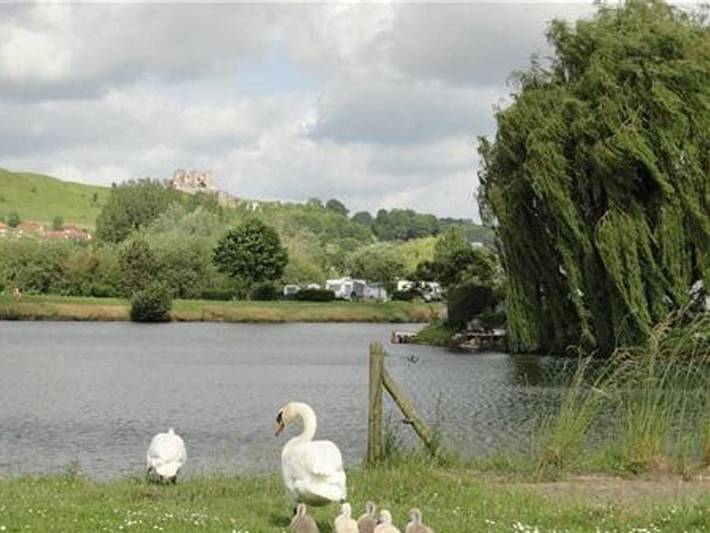 Caravan for 4 people, with pets in Normandy