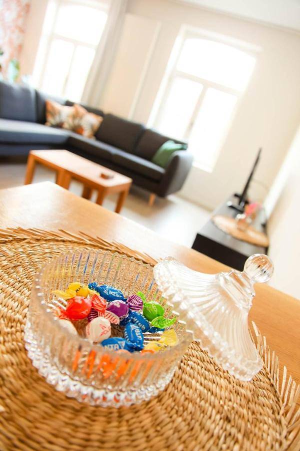 Gîte pour 2 personnes, animaux acceptés à Torhout - 2