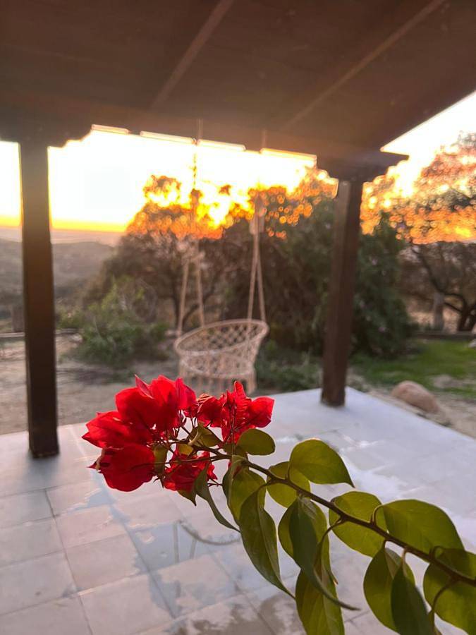 Casa rural para 7 personas, con terraza y jardín además de piscina y vistas en Andújar - 4