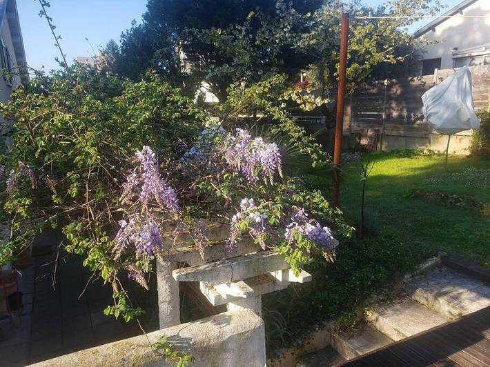 Gîte pour 2 personnes, avec vue et jardin à Bron - 2