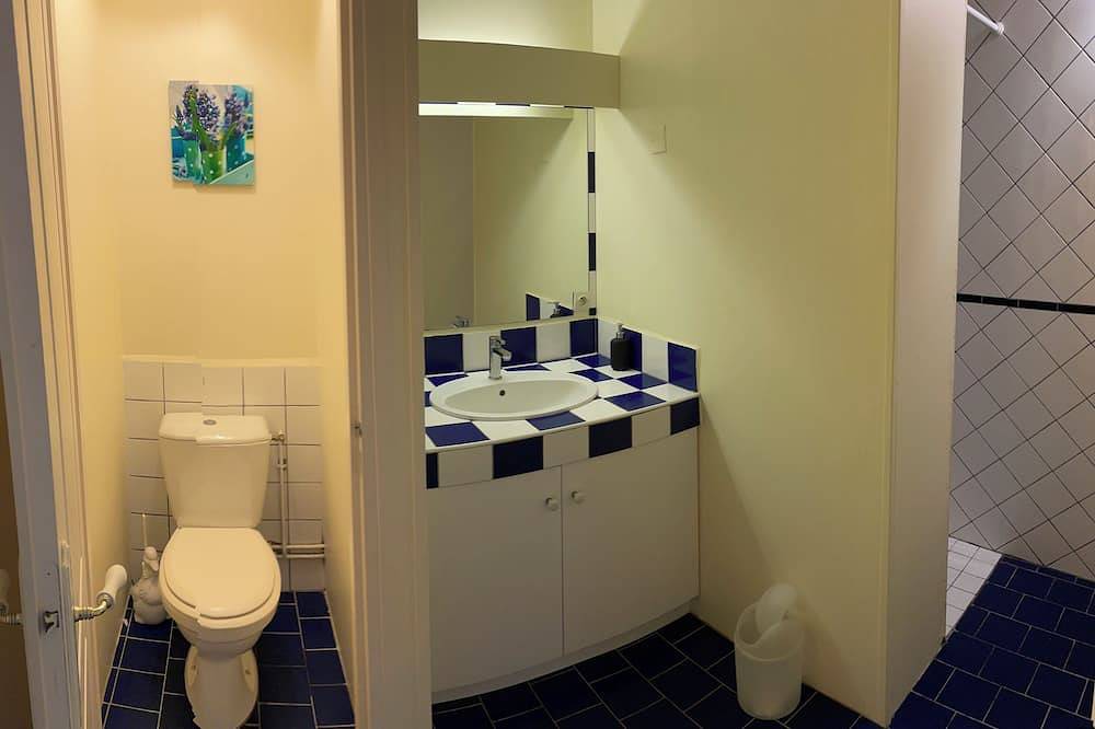 Charming gite ideal for visiting Cheverny Blois Chambord Beauval Zoo in Cour-Cheverny, Sologne