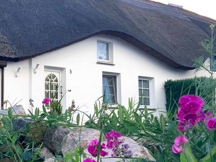 Ferienwohnung für 3 Personen, mit Terrasse und Garten in Zempin - 2