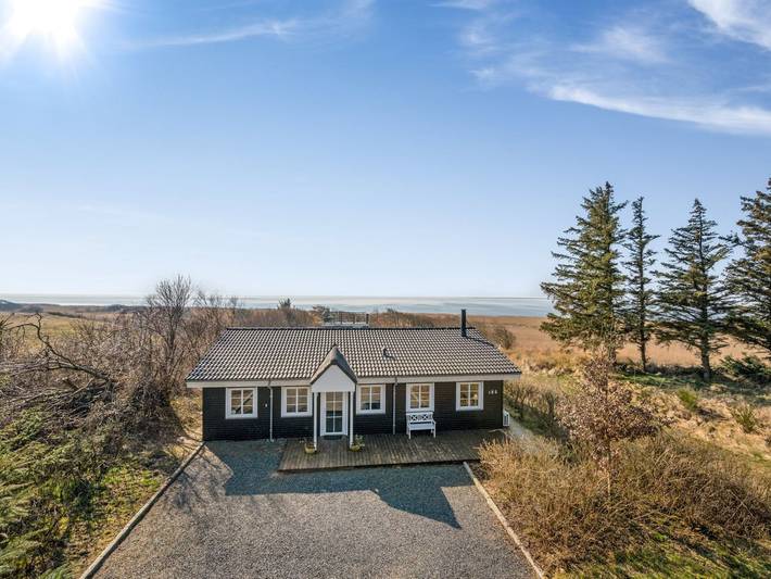 Ferienhaus für 6 Personen, mit Terrasse und Sauna in Skjern