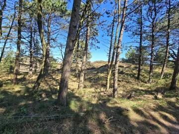 Chalet für 8 Personen in Kongsmark, Region Süddänemark, Bild 1