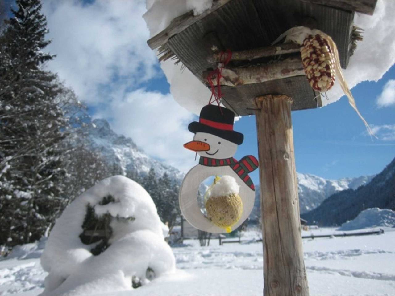 Ganze Ferienwohnung, Das Bäckergut am Haldensee - Natursuite Bergsee in Grän, Allgäuer Alpen (Österreich)