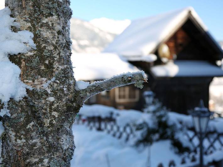 Hütte für 3 Personen, mit Garten und Balkon in Haus - 2