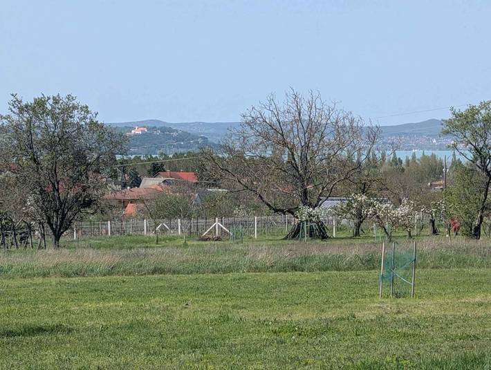 Ferienwohnung für 4 Personen, mit Garten, mit Haustier in Zamardi - 3