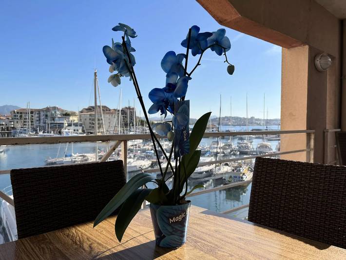 Gîte pour 4 personnes, avec balcon et piscine dans Plage du Port Fréjus