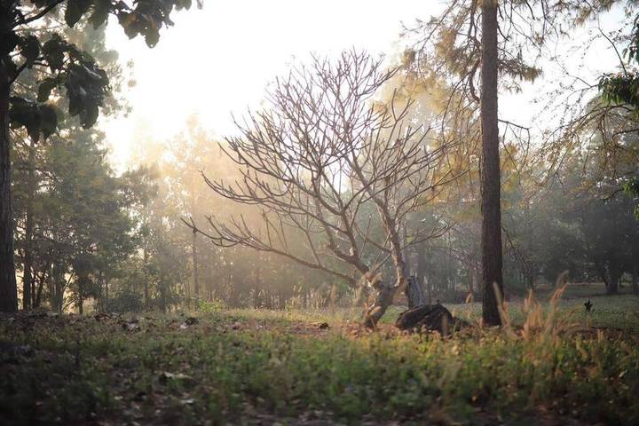 Maison d’hôte pour 4 personnes, avec vue et jardin dans Mae Hong Son - 2