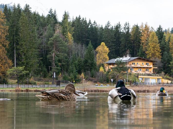 Ganze Ferienwohnung, Landhaus Seerose - Appartement Typ A in Seefeld in Tirol, Innsbruck Land