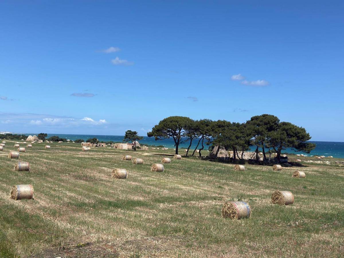 Le Scale di Pietra in Conversano, Provincia di Bari