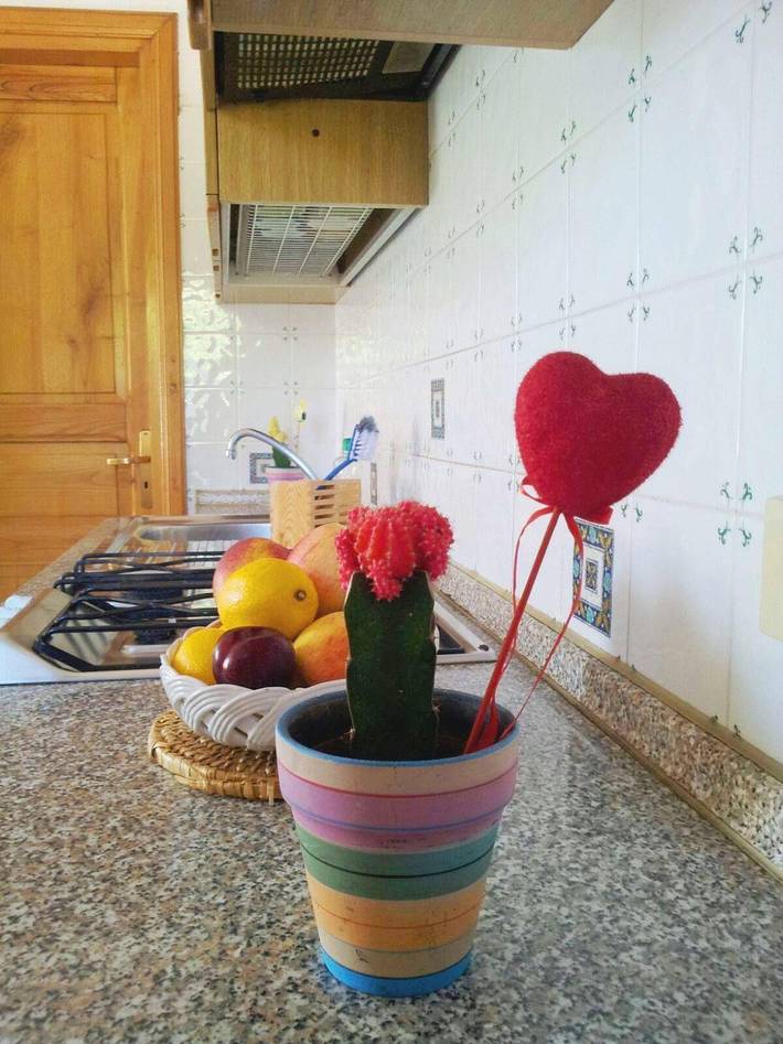 Ferienwohnung für 3 Personen, mit Terrasse, mit Haustier auf Ischia - 2