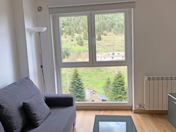 Gîte pour 4 personnes, avec vue et terrasse, animaux acceptés dans Arinsal - 3