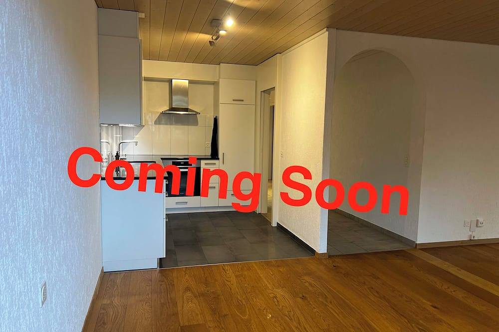 Ganze Wohnung, Dock and Dwell City Appartment in Bern, Berner Oberland