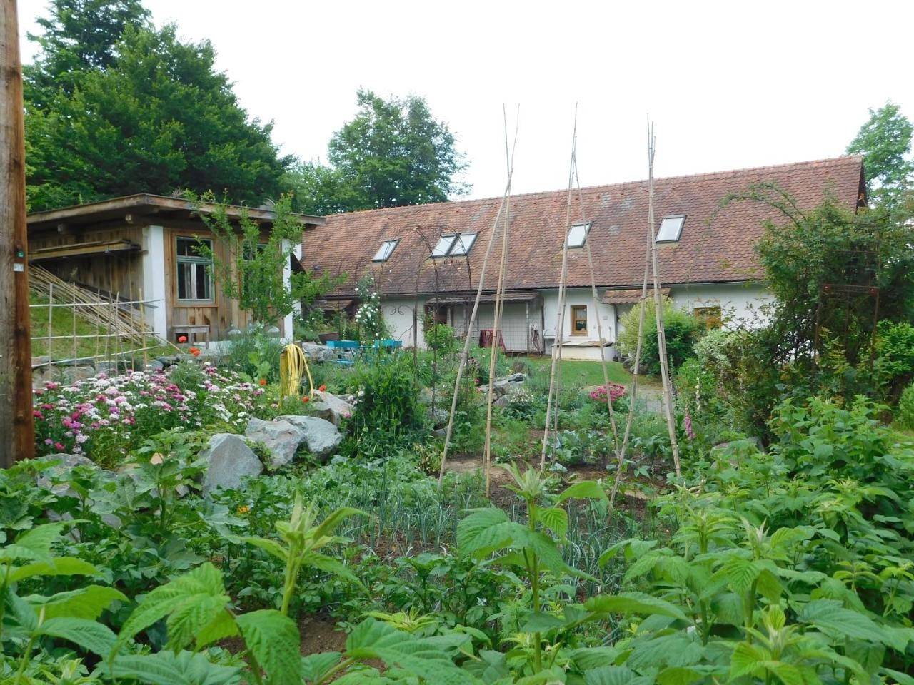 Ganze Wohnung, Hannas Landhaus in Jennersdorf, Bezirk Jennersdorf