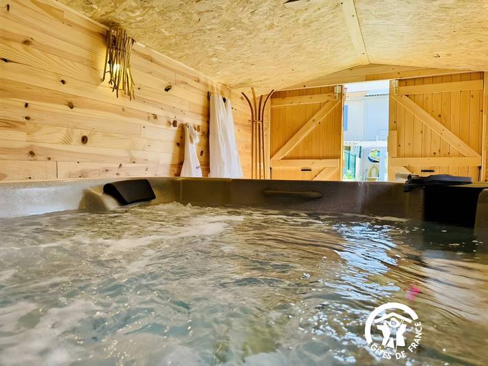 Gîte pour 6 personnes, avec jardin et jacuzzi à Trèbes - 2